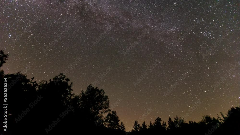 Camping in the forest national park under the starry sky full of stars ...