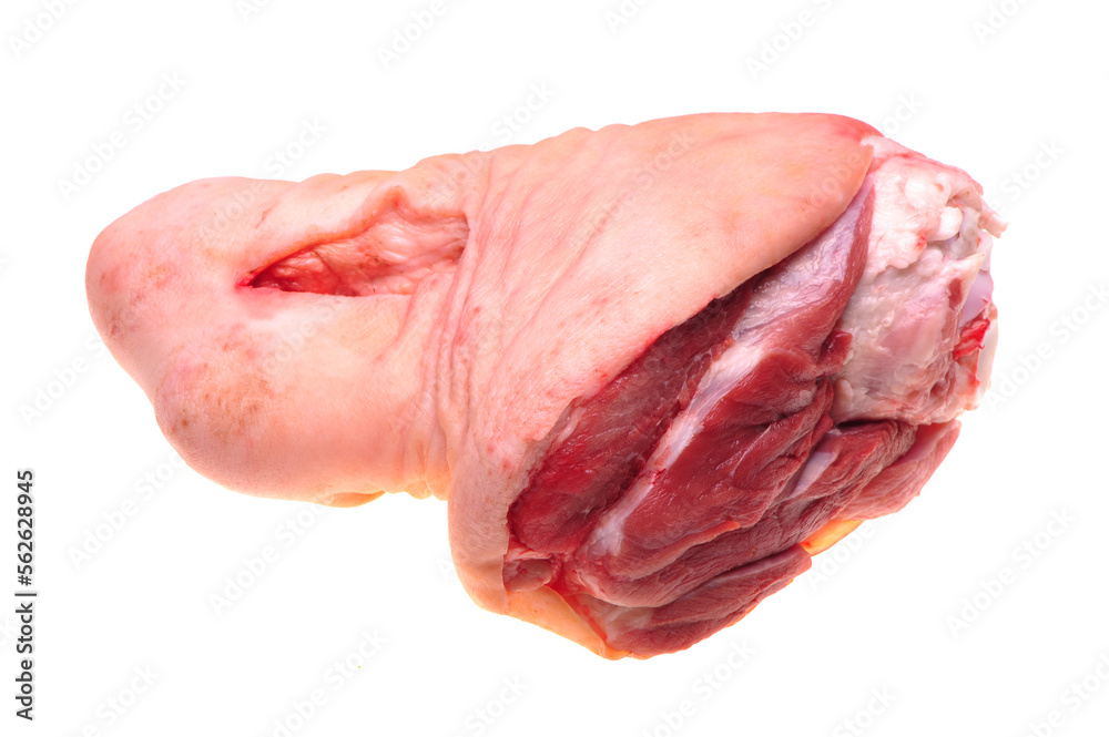 raw pork elbow (leg) isolated on white background
