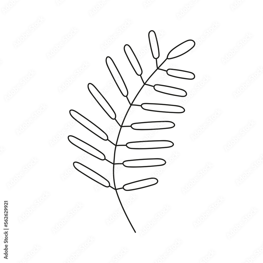 Obraz premium Hand drawn branch with leaves