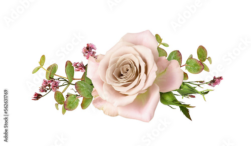 Pink rose flower and green ...