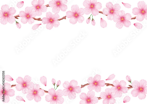 Fototapeta Naklejka Na Ścianę i Meble -  春の美しい桜のフレーム背景素材
