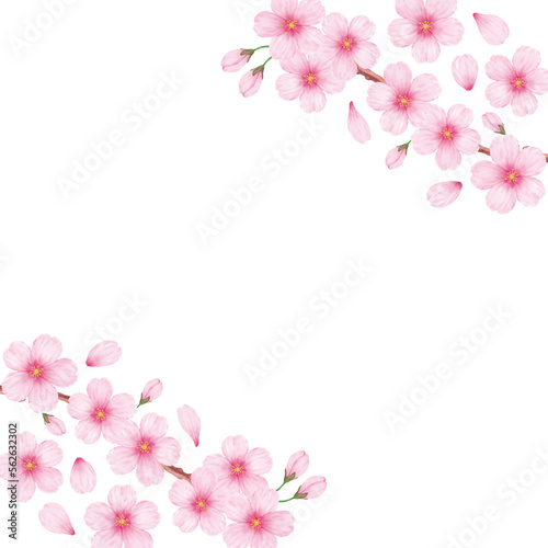 春の美しい桜のフレーム背景素材