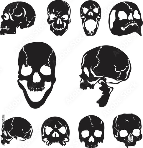set of skulls