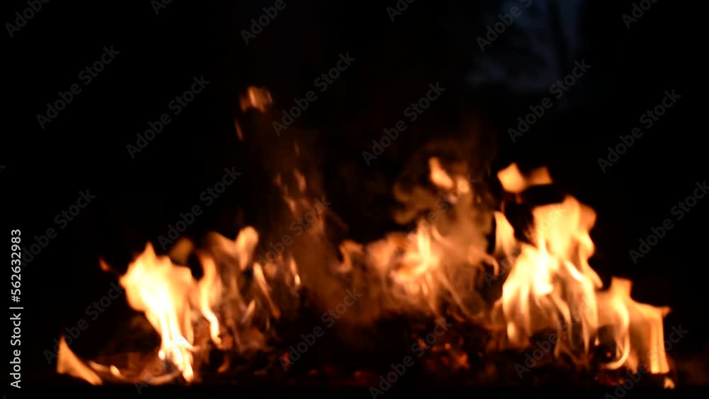 burning fire in the forest and smoke fire and dark black background burning fire in the forest and smoke fire and dark black background