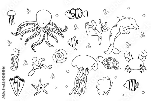 Underwater Animals elements set  collection of coloring book template  the group of outline digital elements vector illustration  kid educational game page. EPS