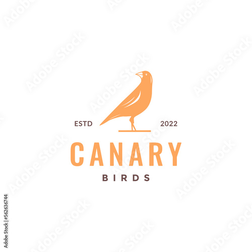 canary bird singer wings long tails isolated hipster colored logo design vector icon illustration template