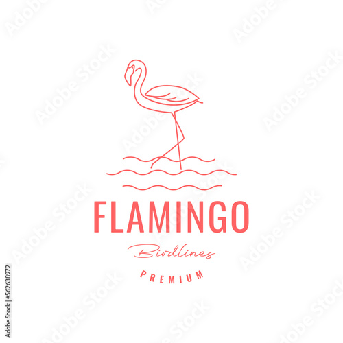 flamingo bird walking water looking fish tall foot lines logo design vector icon illustration template