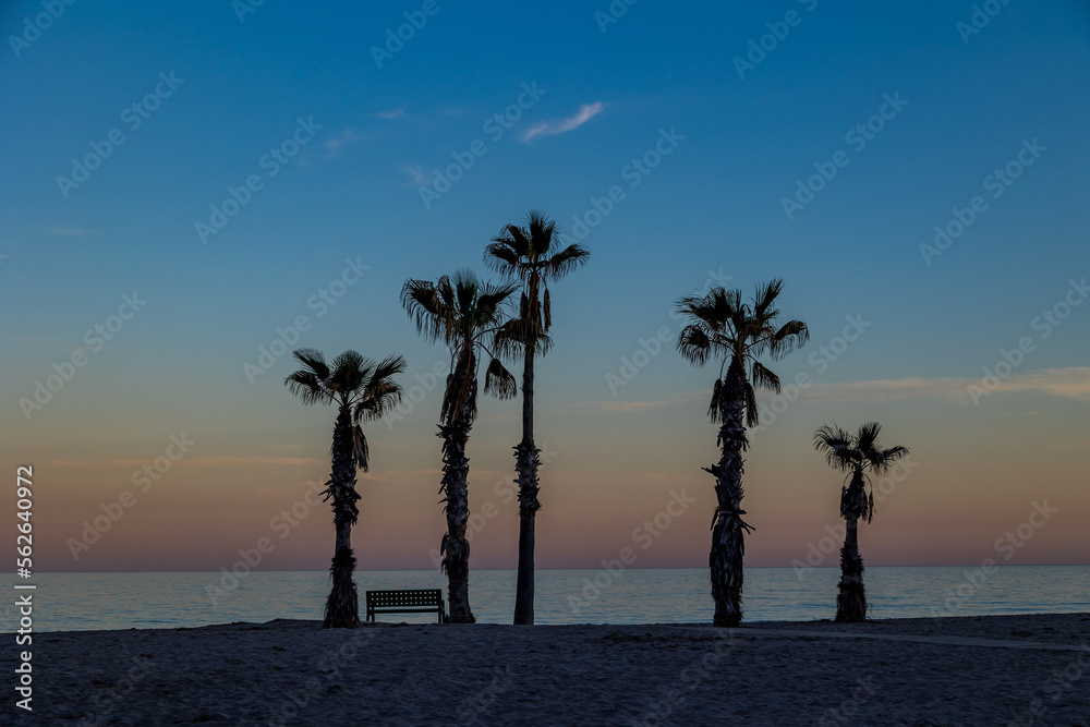  seaside landscape peace and quiet sunset and four palm trees on the beach and a bench