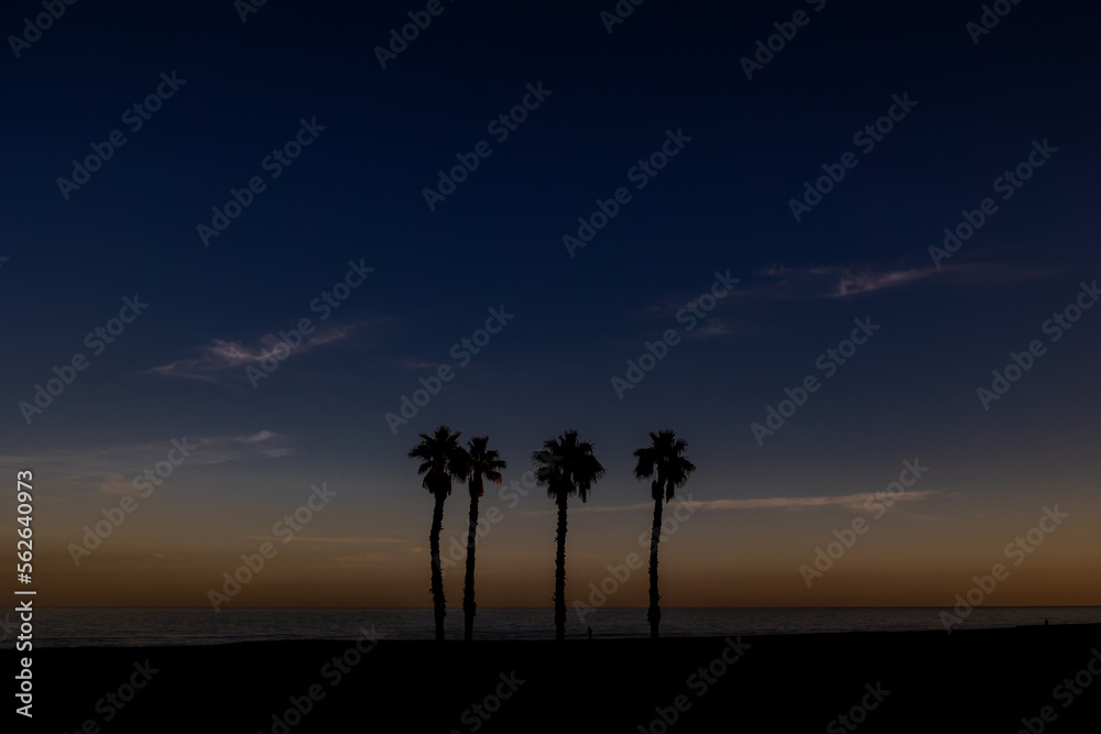 seaside landscape peace and quiet sunset and four palm trees on the beach seaside landscape peace and quiet sunset and four palm trees on the beach