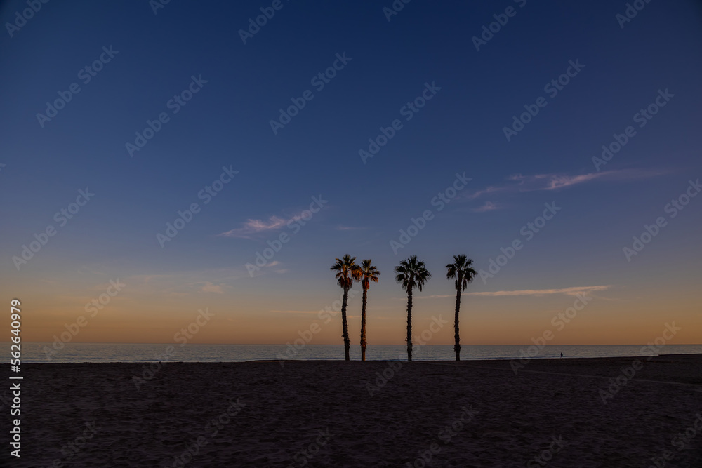  seaside landscape peace and quiet sunset and four palm trees on the beach