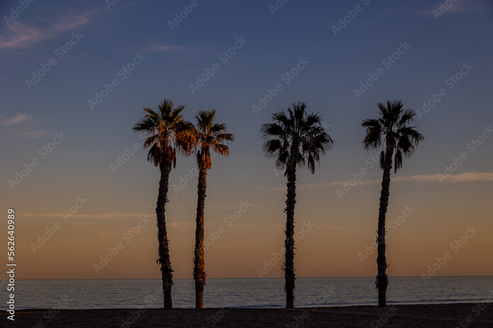  seaside landscape peace and quiet sunset and four palm trees on the beach