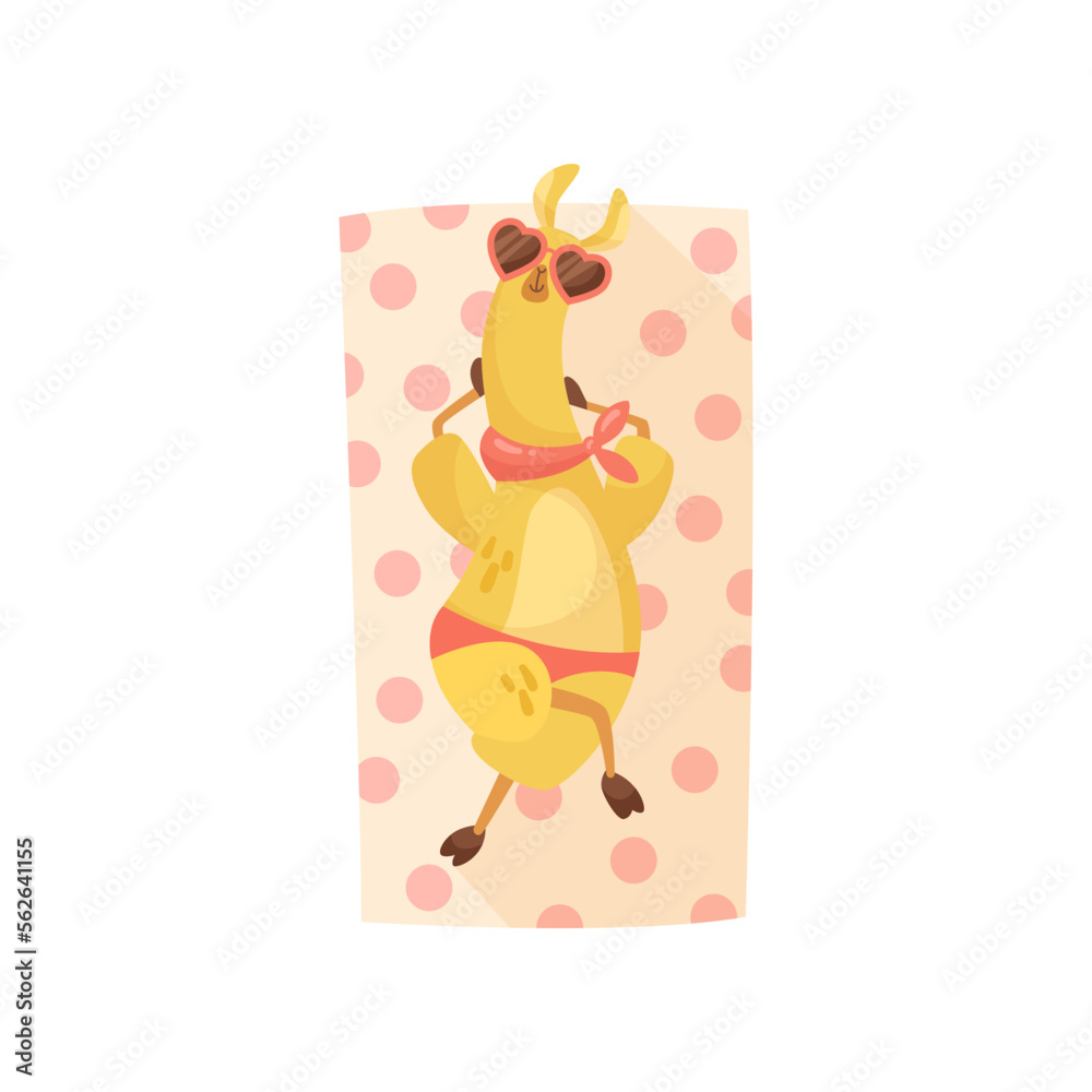 Obraz premium Llama cartoon character sunbathing vector illustration. Summer resort, funny comic wild animal in sunglasses relaxing on beach towel on white background. Wildlife, vacation concept