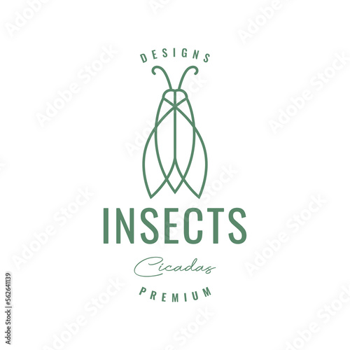 animal insect afternoon cicadas singer louder line hipster colored logo design icon illustration template photo