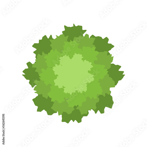 Top view of green treetop vector illustration. Plant element for garden, forest or park plan or map isolated on white background. Ecology, landscape design concept