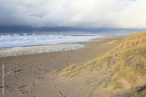 Idyllic sand beach in Agger  Jylland  Denmark