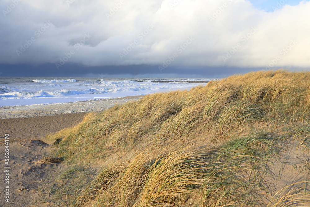 North Sea coast in Agger, Thy, Denmark North Sea coast in Agger, Thy, Denmark