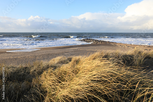 Idyllic North Sea coast in Agger, Thy, Jylland, Denmark photo