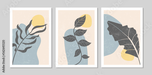 Set of abstract contemporary mid century posters with Botanical shapes and texture. Design for wallpaper, background, wall decor, cover, print, card. Modern boho minimalist art. Vector illustration.