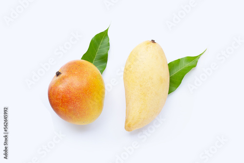 Tropical fruit, Mango  on white background.