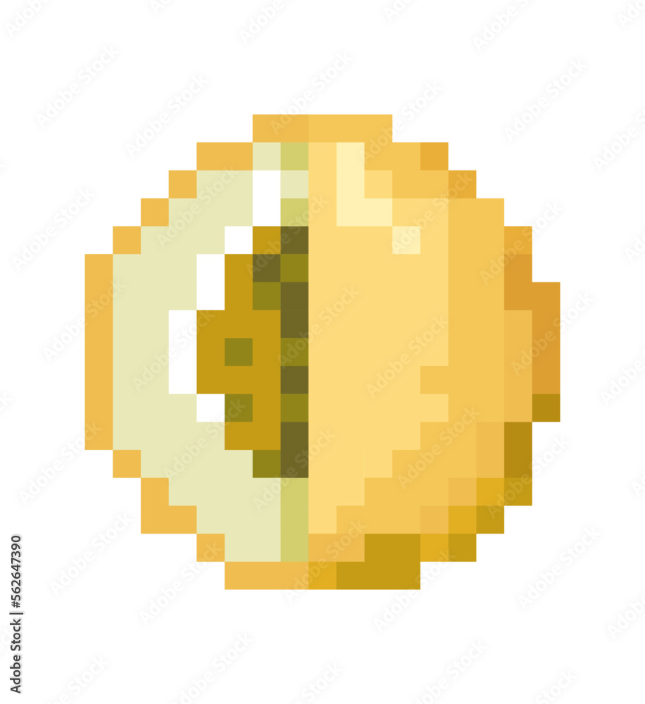 Pixel fruit icon, melon pixelated art, vector