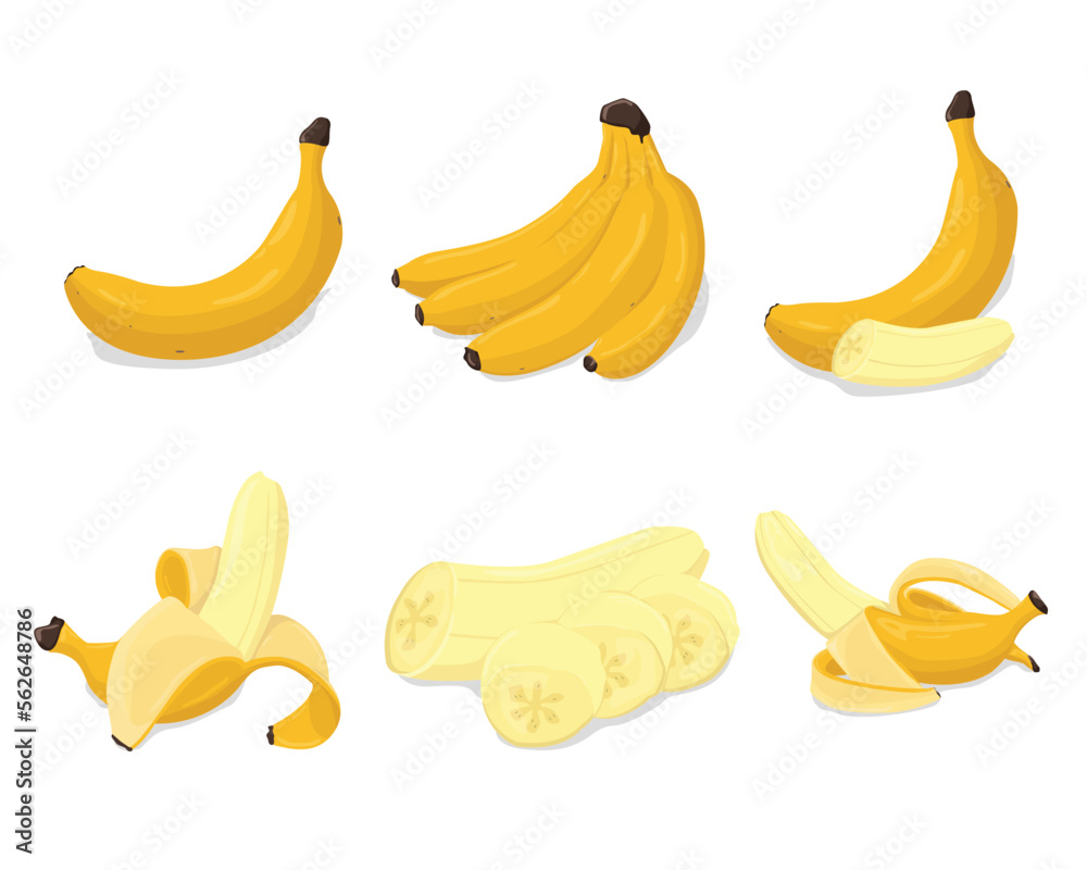 set of vector banana tropical fruit and leaf free. banana fruit 