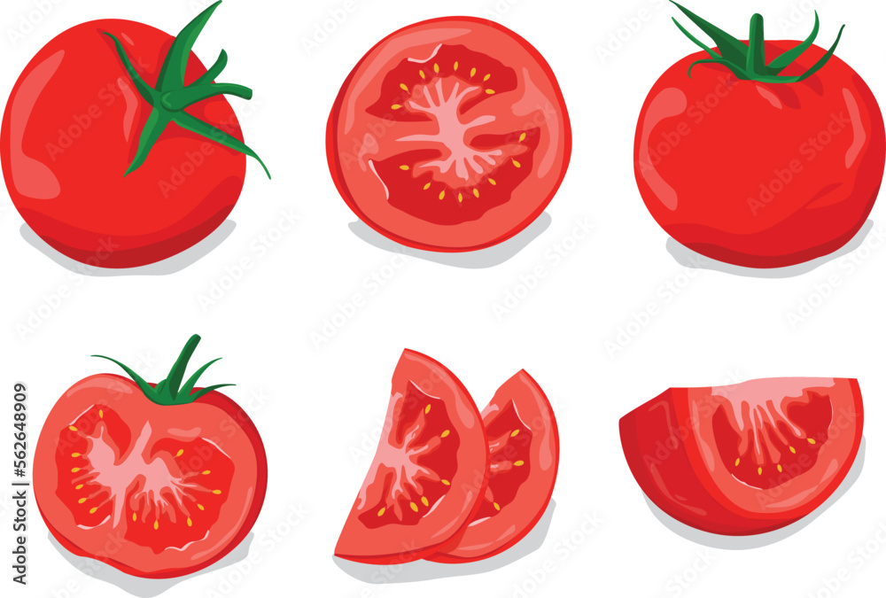 set of red tomatoes vector free design, fresh tomato slice fruit  - obrazy, fototapety, plakaty 