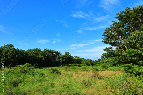대한민국 제주도의 살아있는 생태계를 보여주는 농촌 풍경이다 © ju999