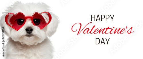 Banner for Valentine's Day with funny maltese dog wearing red heart-shaped glasses. Isolated image of the cute dog for Valentine's Day greetings and other holiday-themed projects. Generative AI