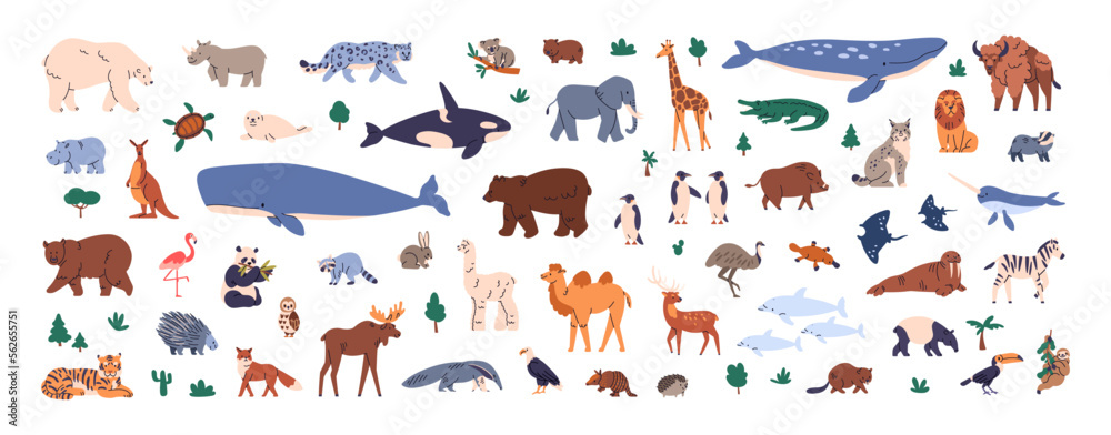 Obraz premium Different world animals set. Cute childish fauna, wildlife. Wild land and sea mammals, birds. Various bears, whale, kangaroo species. Flat graphic vector illustrations isolated on white background
