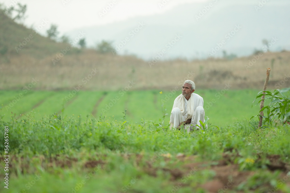 indain farmer in vegetable farm
selective focus, shallow depth of field, or blur. indain farmer in vegetable farm
selective focus, shallow depth of field, or blur.