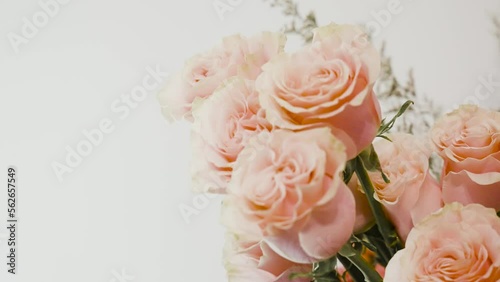 Close up shot of lovely pink roses inside a Valentine's day Bouquet. photo