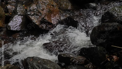 Streams in Natural Bridge, Springbrook National Park, Gold Coast Hinterland, Australia photo