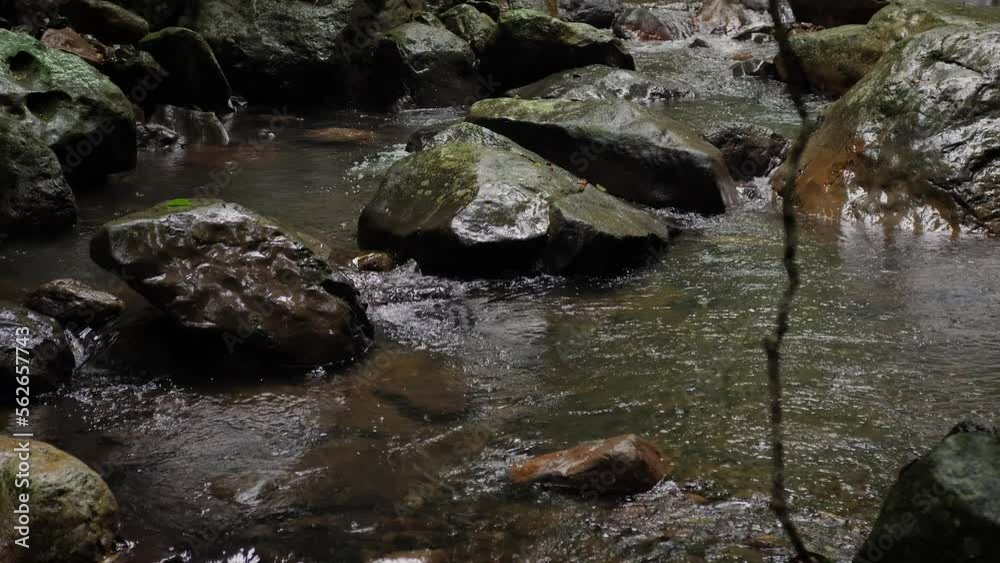 Streams in Natural Bridge, Springbrook National Park, Gold Coast Hinterland, Australia Streams in Natural Bridge, Springbrook National Park, Gold Coast Hinterland, Australia