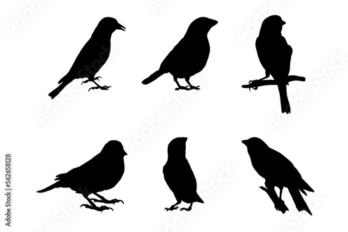 Set of silhouettes of canaries vector design