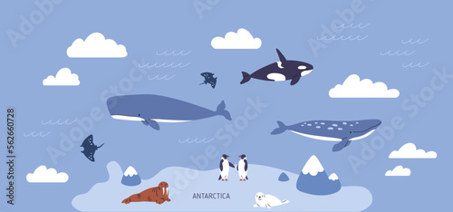 Foto Antarctica, polar landscape