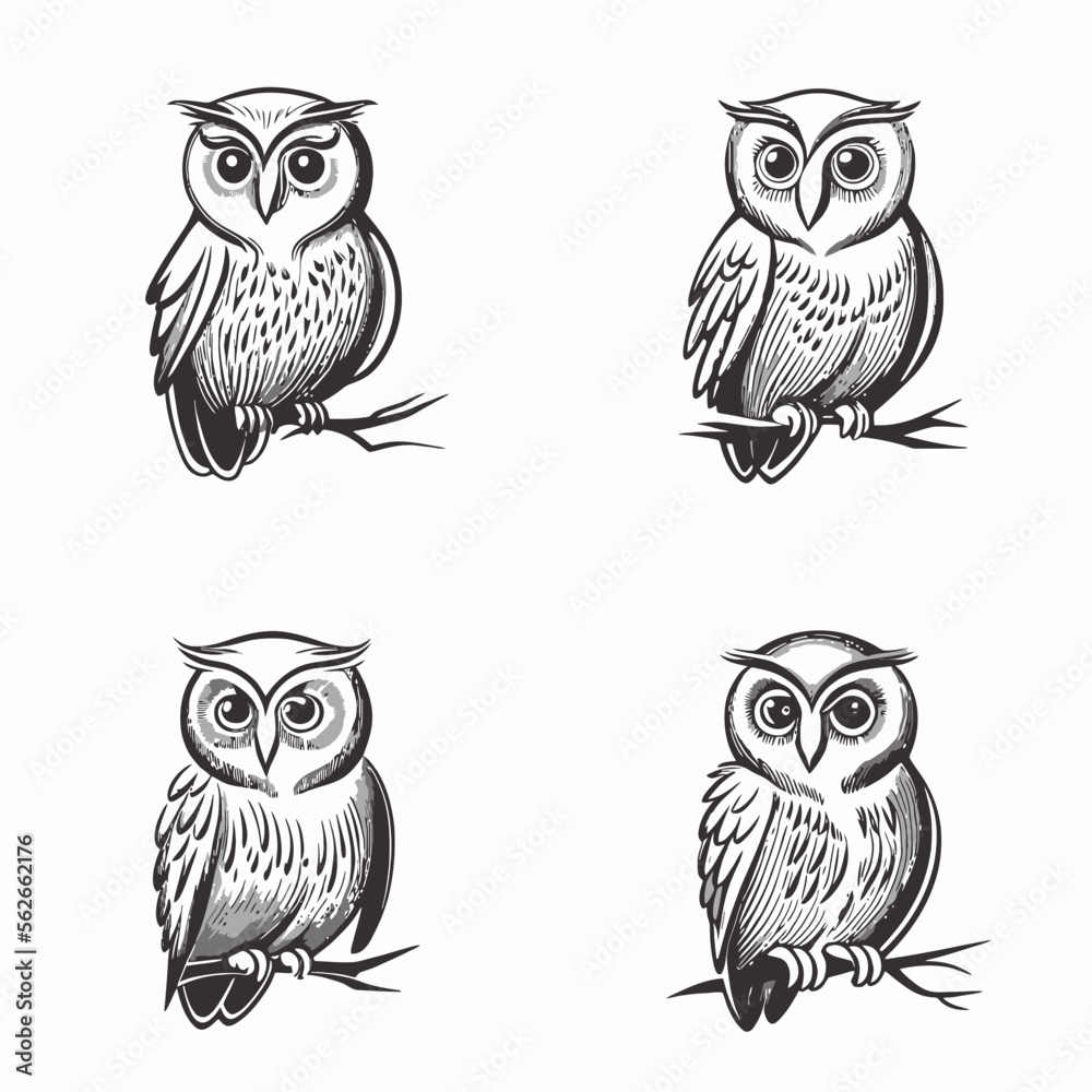 4 variants of the owl logo. Logo vector illustration 4 variants of the owl logo. Logo vector illustration