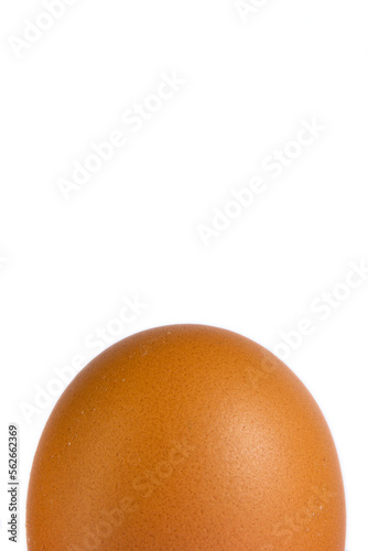 half Chicken Egg isolated on white background.