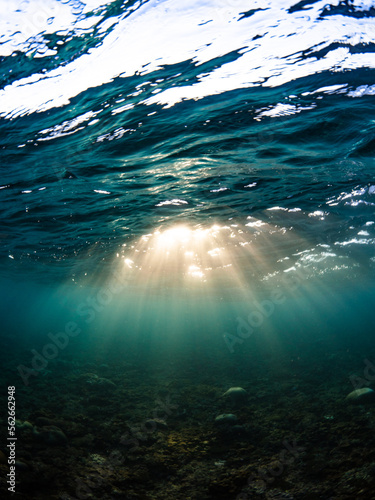 Underwater at sunset