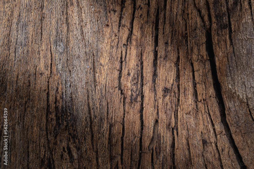 Old plank wood texture background Old plank wood texture background
