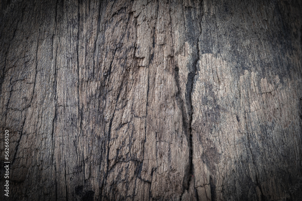Obraz premium Old plank wood texture background