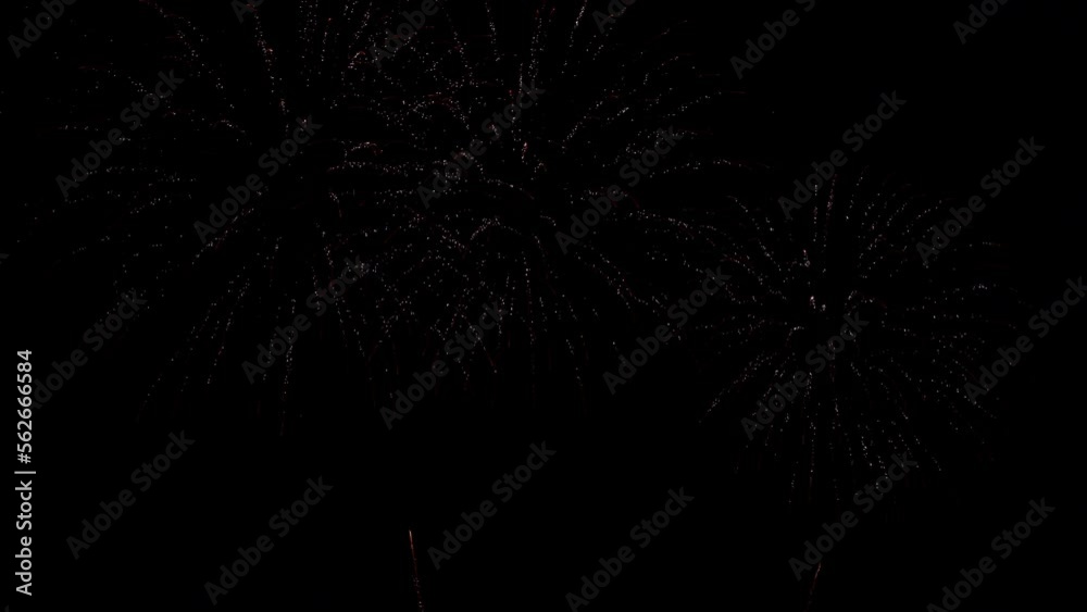 Fireworks with green centers explode in the night sky. Fireworks with green centers explode in the night sky.