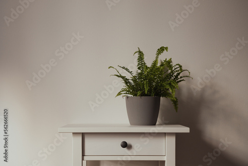 Close-up on white nightstand with plant
