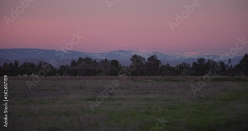 A pastel sky over the Sierra Nevada mountains with power lines and trees in the foreground in Clovis, CA, USA photo