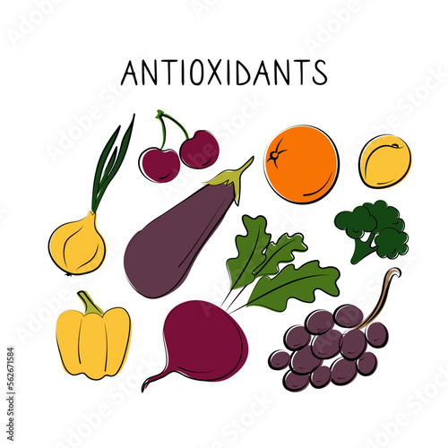 Antioxidants-containing food. Groups of healthy products containing vitamins and minerals. Set of fruits, vegetables, meats, fish and dairy.
