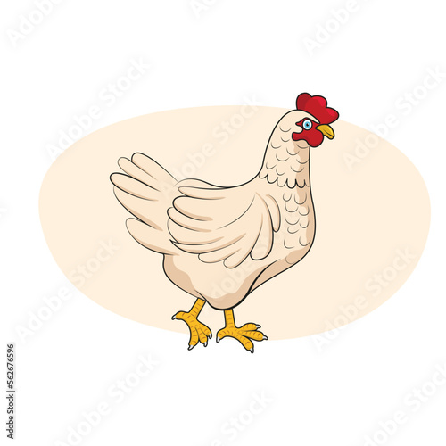 White backyard chicken. Vector illustration.