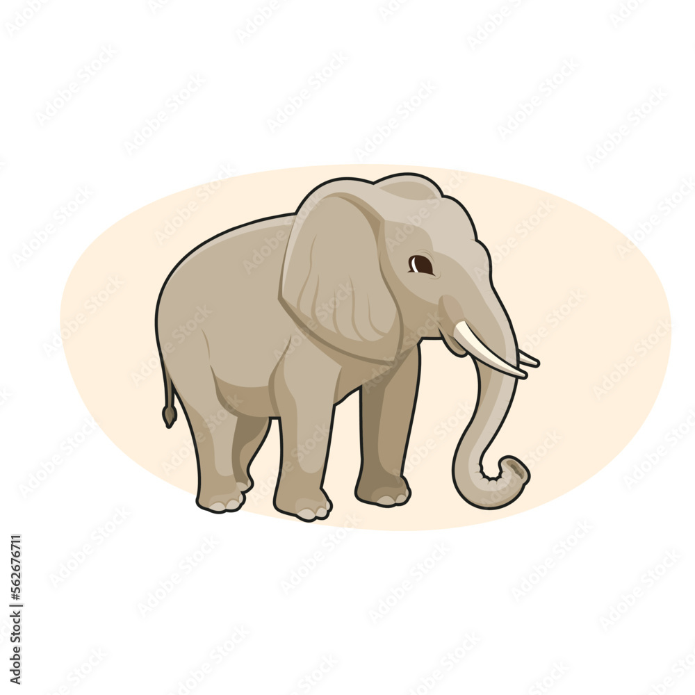 Adult Asian elephant. Vector illustration.