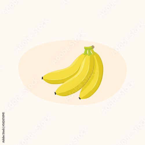 Fresh looking banana bunch illustration. Vector