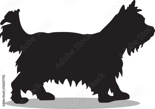Terrier Silhouette, cute Terrier Vector Silhouette, Cute Terrier cartoon Silhouette, Terrier vector Silhouette, Terrier icon Silhouette, Terrier Silhouette illustration, Terrier vector 
