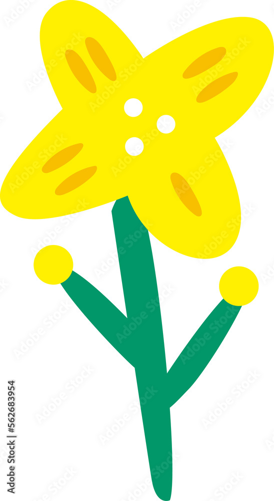 Fototapeta premium A yellow flower 5