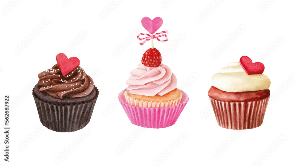 Hand drawn watercolor cupcakes isolated on white background.Romantic cakes